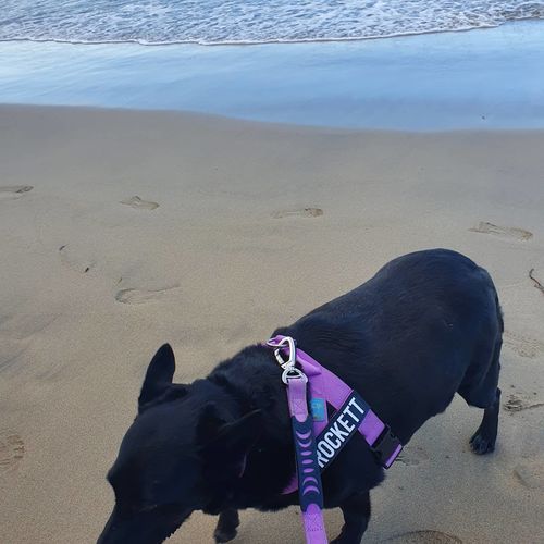 Customer photo review of Signature Kit