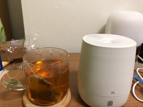 Customer photo review of Essential Oil Diffuser - Air Humidifier