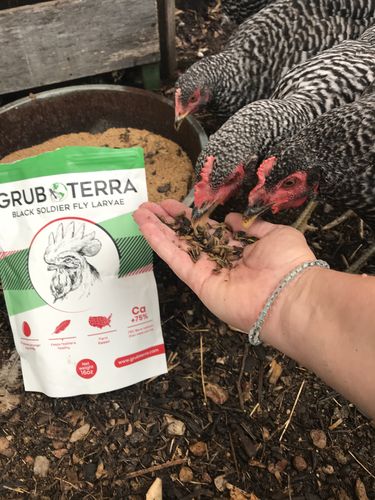 Customer photo review of GrubTerra Dried Larvae