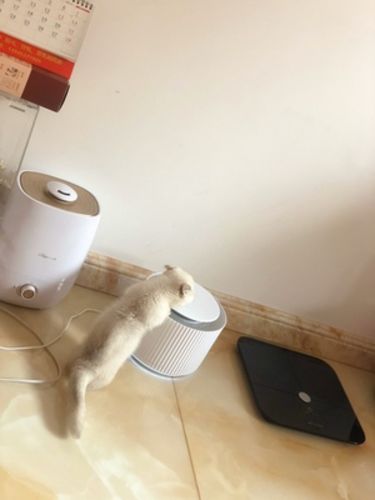 Customer photo review of Furrytail Clear Drinking Cat Filtered Water Fountain