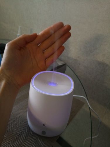 Customer photo review of Essential Oil Diffuser - Air Humidifier