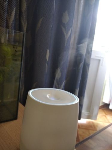 Customer photo review of Essential Oil Diffuser - Air Humidifier