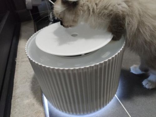 Customer photo review of Furrytail Clear Drinking Cat Filtered Water Fountain