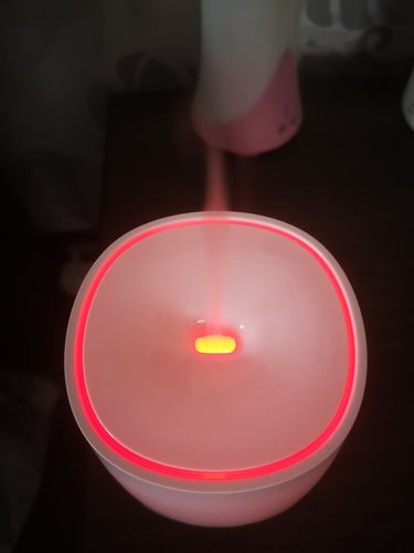 Customer photo review of Essential Oil Diffuser - Air Humidifier