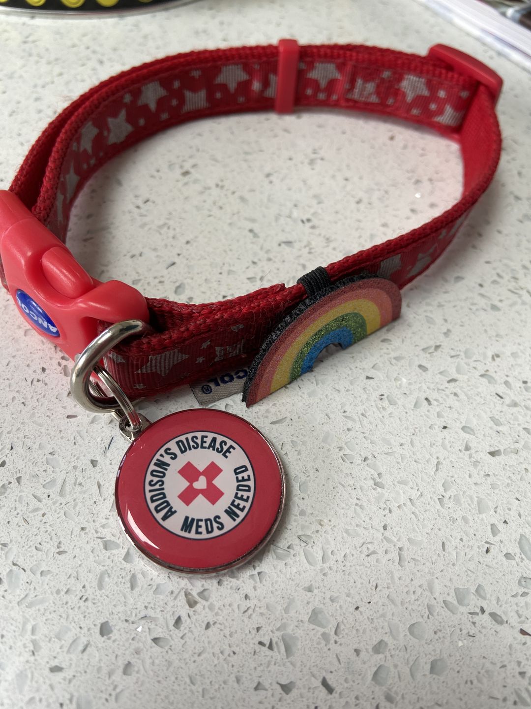 Customer photo review of Addison's Disease Dog Tag