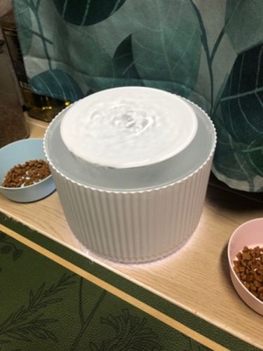 Customer photo review of Furrytail Clear Drinking Cat Filtered Water Fountain