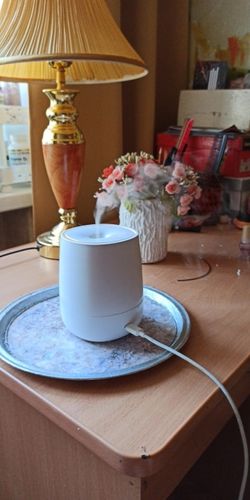 Customer photo review of Essential Oil Diffuser - Air Humidifier