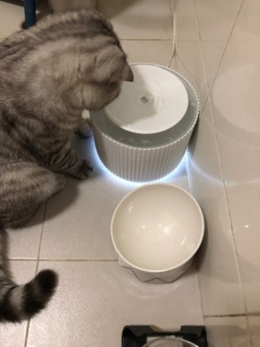 Customer photo review of Furrytail Clear Drinking Cat Filtered Water Fountain