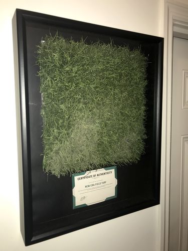 Customer photo review of Field Turf