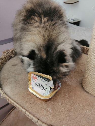 Avis photo d'un client sur Pâtée Chat Stérilisé Sans Céréales - Saumon