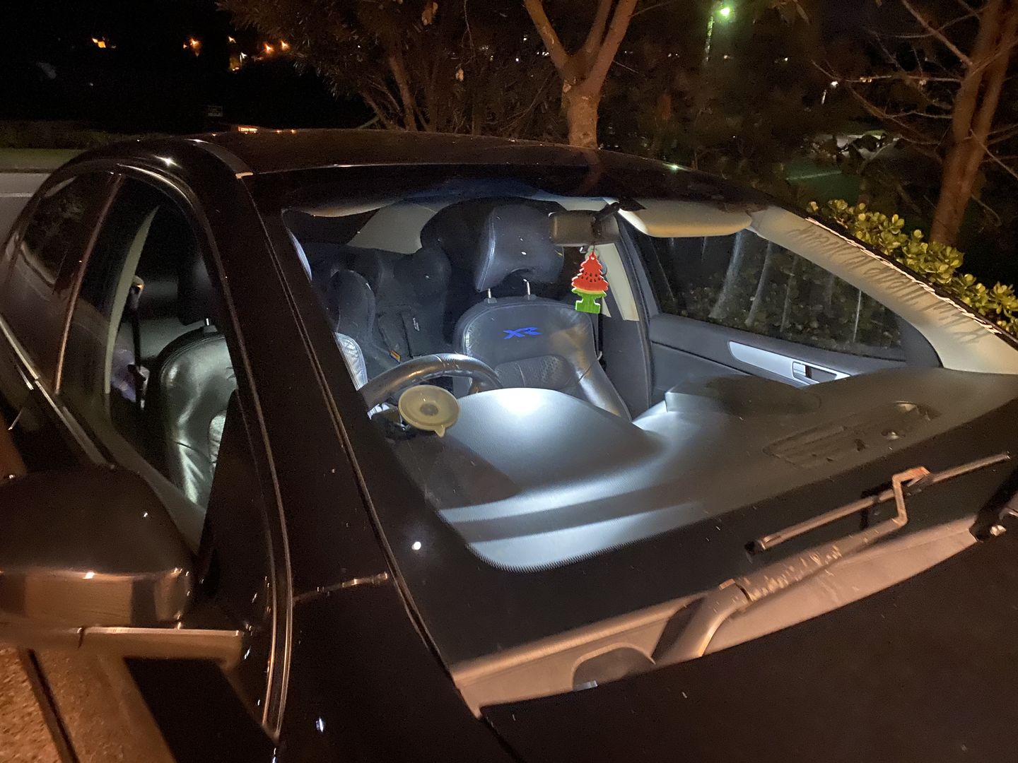 Customer photo review of T10 LED Globes