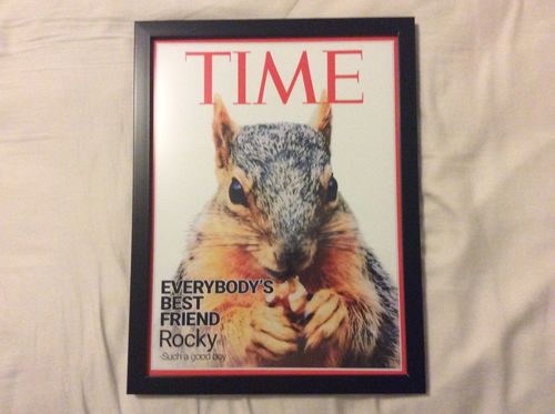 Customer photo review of Prints