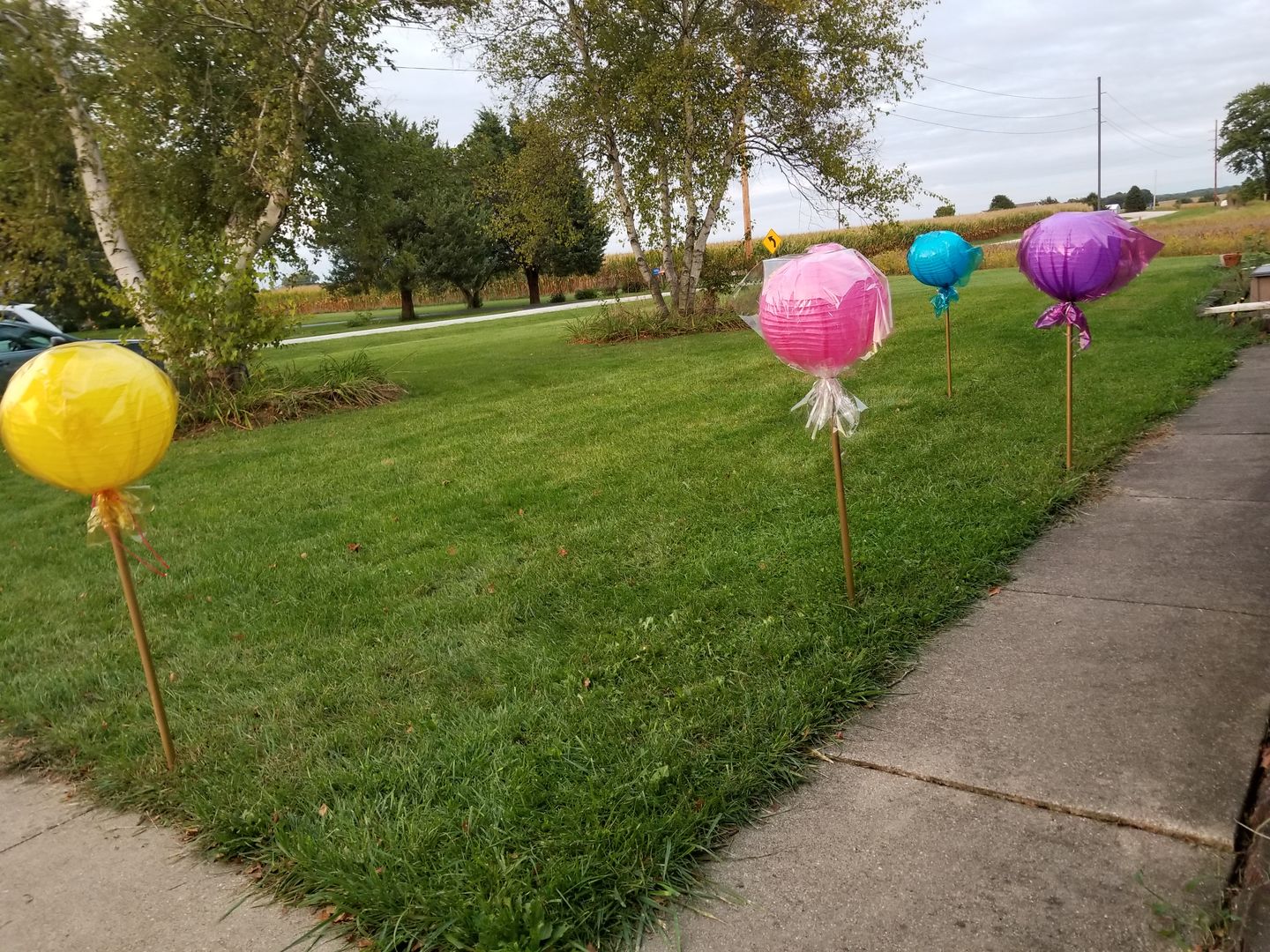 Customer photo review of 14" Fuchsia / Hot Pink Round Paper Lantern, Even Ribbing, Chinese Hanging Wedding & Party Decoration