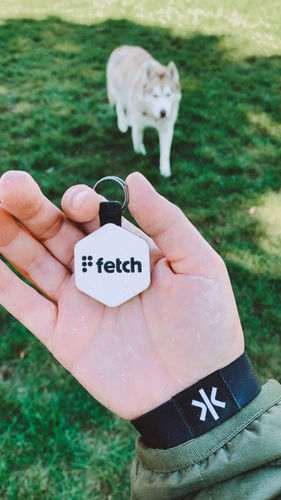 Customer photo review of Concrete Jungle Fetch Smart Pet ID