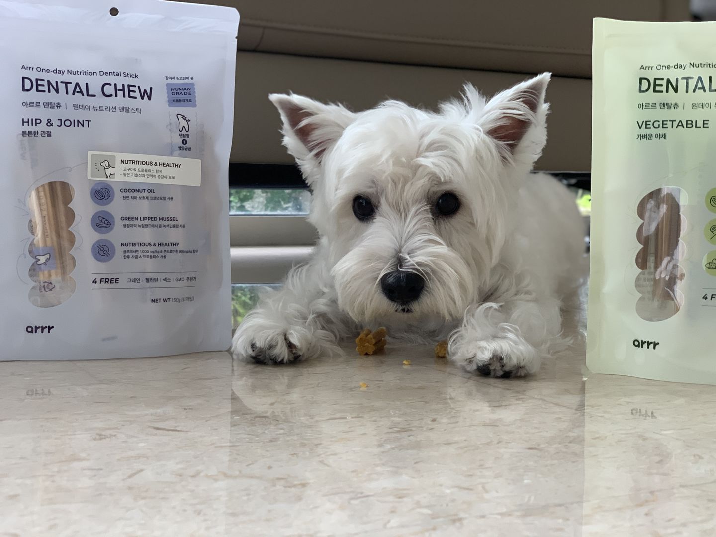 Customer photo review of arrr Dental Chew