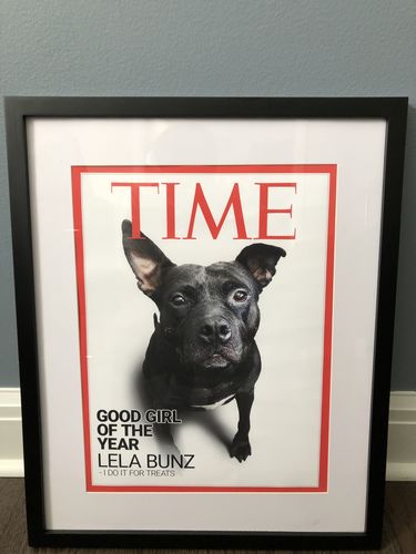 Customer photo review of Posing Pig Custom Print