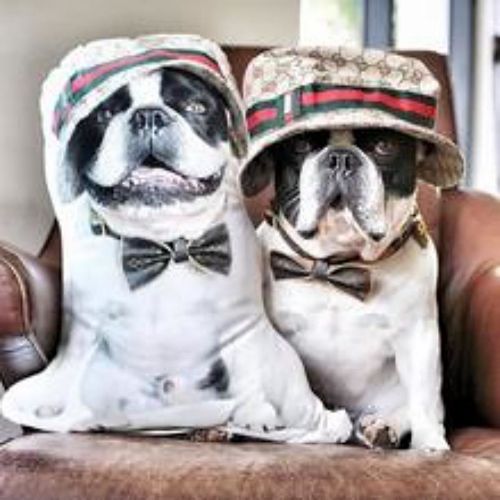 Customer photo review of Personalisiertes Hundekissen™