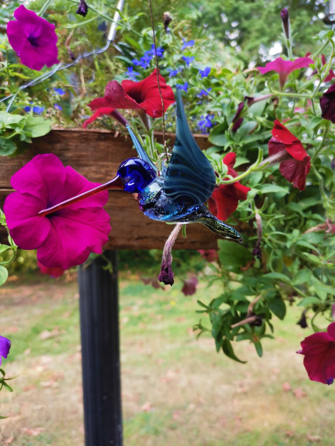 Customer photo review of Dichroic Twist Glass Hummingbird with Infused Ash