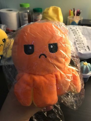 Customer photo review of Peluche octopus réversible