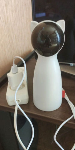 Customer photo review of Chatech™ | Jouet interactif Laser LED