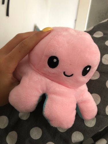 Customer photo review of Peluche octopus réversible