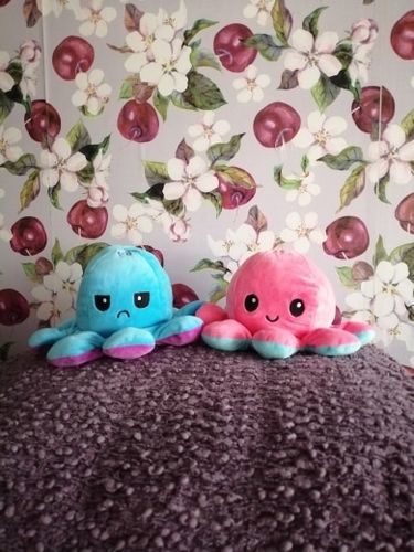 Customer photo review of Peluche octopus réversible