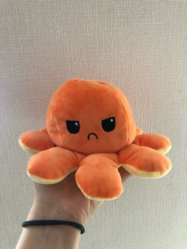 Customer photo review of Peluche octopus réversible