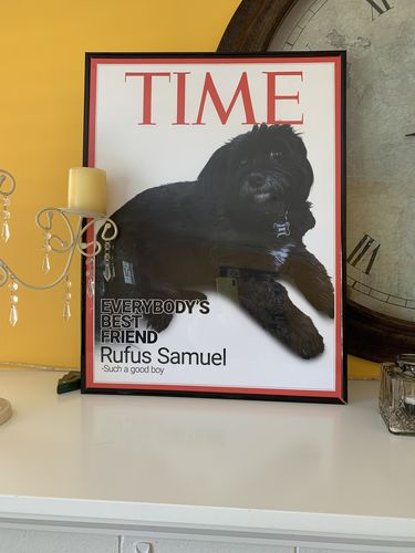 Customer photo review of Posing Pig Custom Print