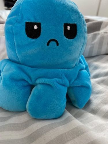 Customer photo review of Peluche octopus réversible