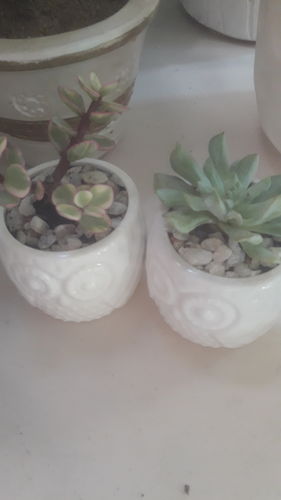 Review photo 1 by Angel