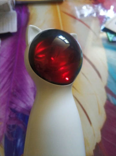 Customer photo review of Chatech™ | Jouet interactif Laser LED