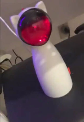 Customer photo review of Chatech™ | Jouet interactif Laser LED