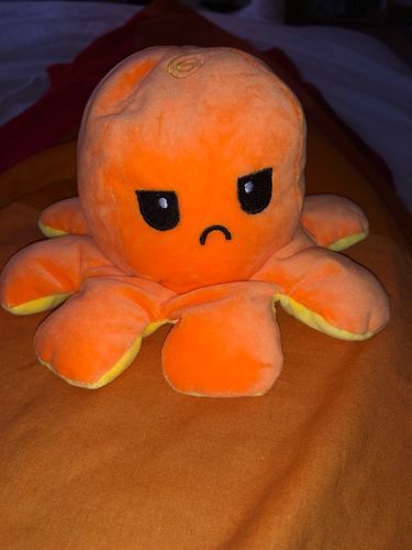 Customer photo review of Peluche octopus réversible