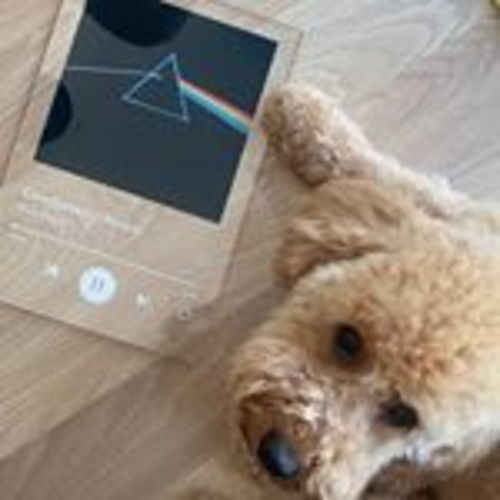 Customer photo review of PRINTEDIFY™ Custom Music Plaque