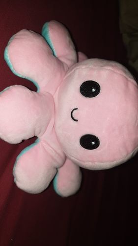 Customer photo review of Peluche octopus réversible