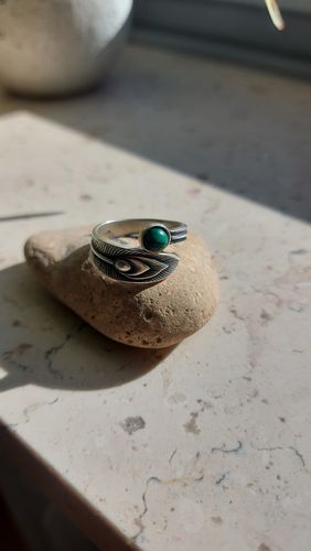 Customer photo review of Der Ring des Überflusses