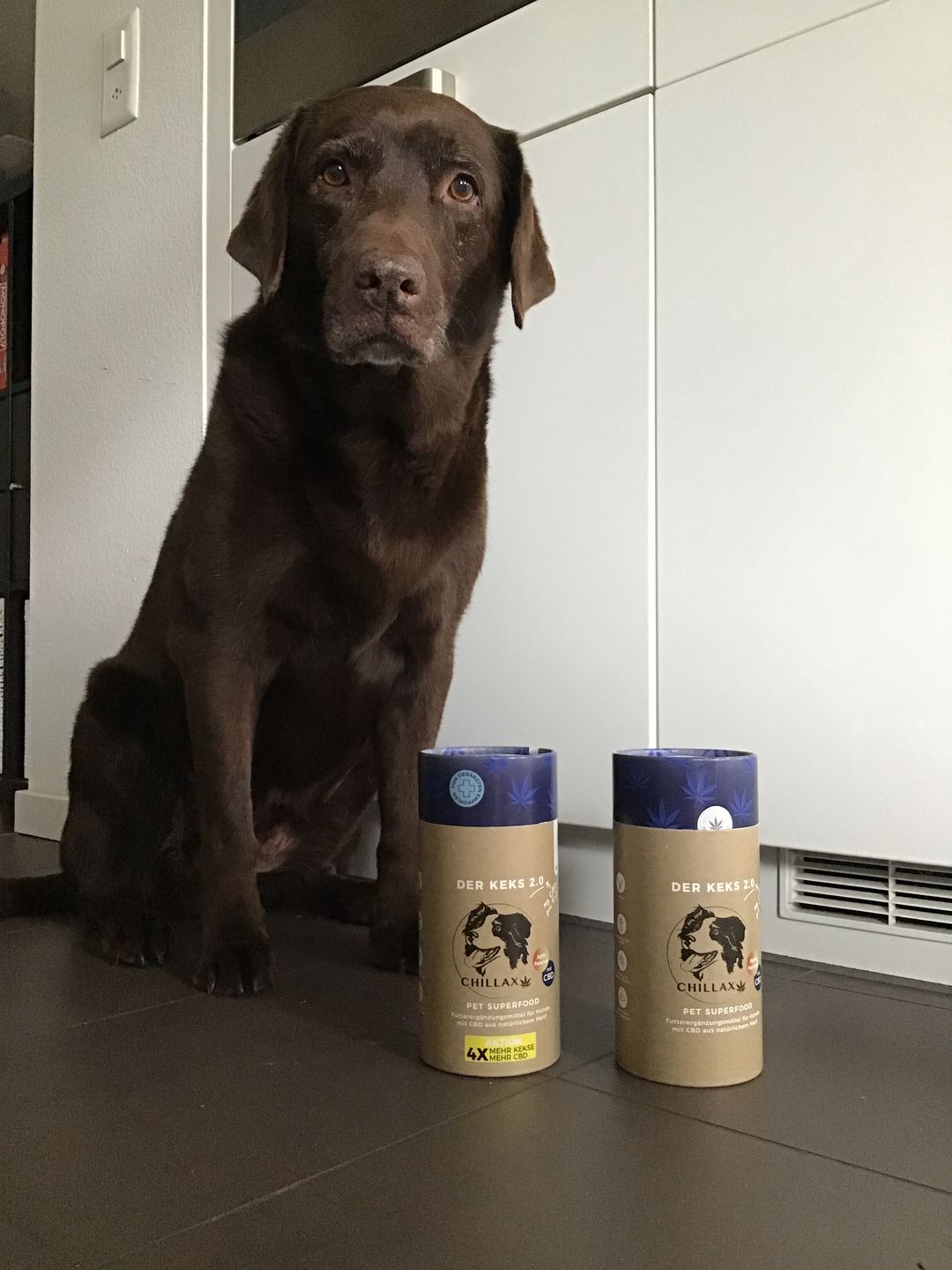 Customer photo review of Aktion Hundekekse - Apfel-Fenchel - 2 mg CBD - Total 740 mg CBD (vegan)