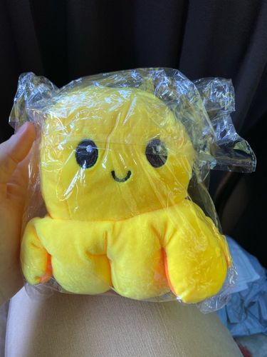 Customer photo review of Moody Octopus Plush