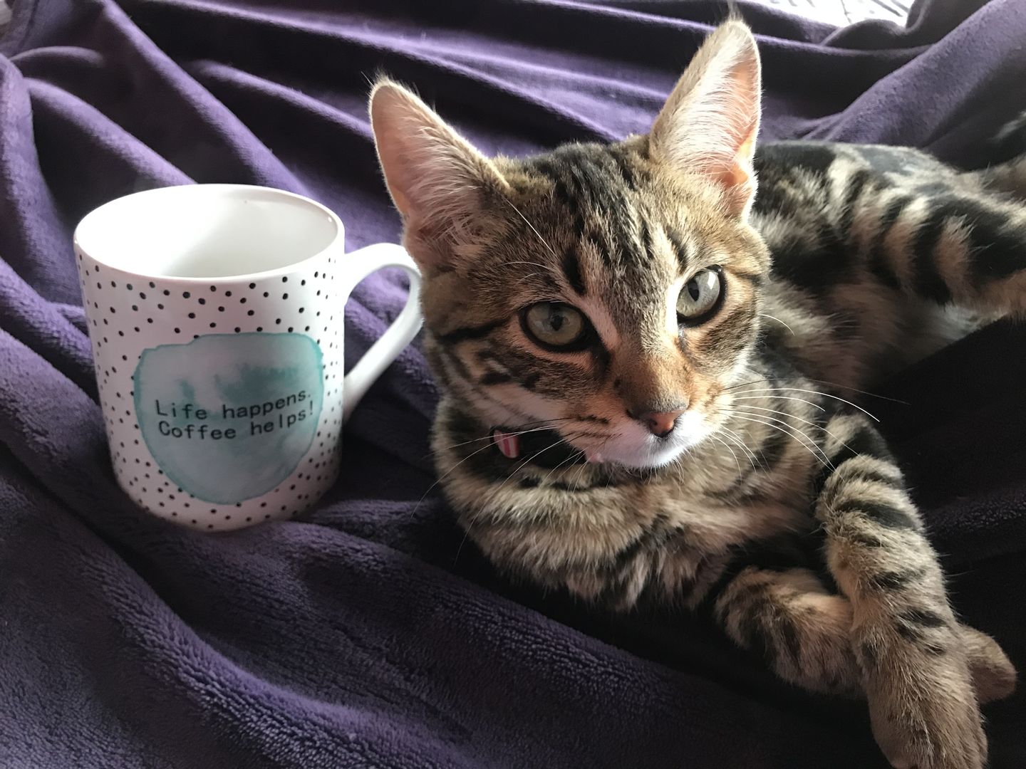 Customer photo review of Cápsulas de café compostables - Colombia Sausalito