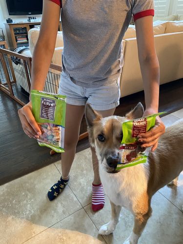 Customer photo review of Neon Bears | Best Value