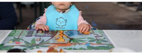Customer photo review of Silicone Bibs