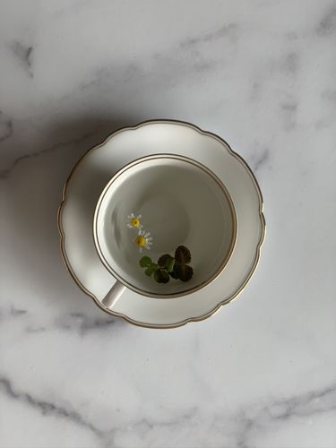 Customer photo review of White Marble™