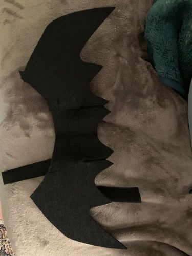 Customer photo review of Halloween pet bat wings cat costume Pets costume wear Halloween day