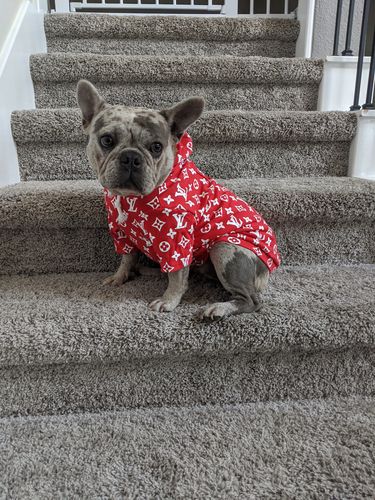 undefined review of Pupreme French Bulldog Hoodies (CS10) image 1 out of 1