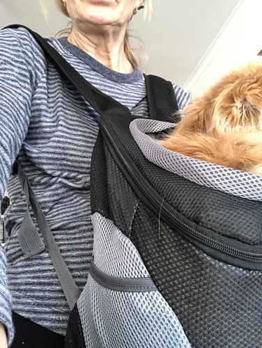 Customer photo review of Petyfy™ Dog Backpack + Lifetime Warranty!