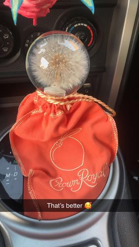 Customer photo review of Dandelion Crystal Bubble Shift Gear Knob