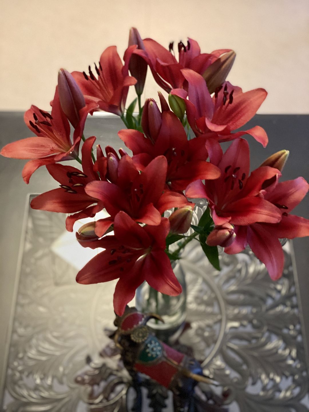 Customer photo review of Oriental Lily (Bunch of 4)
