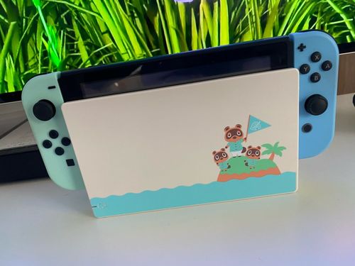 Customer photo review of Animal Crossing Console & Joy-con Housing Case