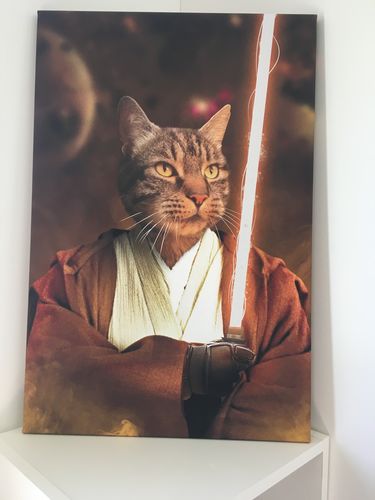Le Jedi Aristocracy Family
