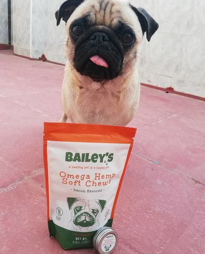 Customer photo review of Bailey's Omega Hemp Soft Chews - Bacon Flavored- 30 Count Bag